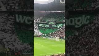 The Green Brigade unveil a banner for Parkhead Flag Day