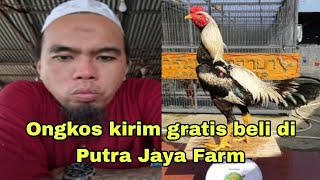 Ongkos kirim gratis beli di Putra Jaya Farm