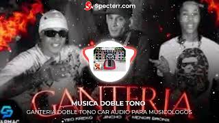 GANTERIA DOBLE TONO CAR AUDIO PARA MUSICOLOGOS