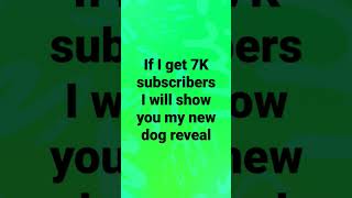 7k subscribers new dog reveal