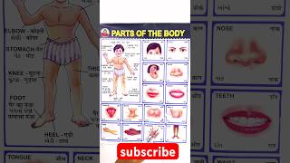 Human Body Parts Name In English & Hindi | शरीर के अंगों के नाम | #bodyparts