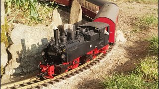 5. Gartenbahnfahrtag der Familie Blencke mit HSB - Harzer Schmalspurbahn,Selketalbahn