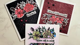 3 cards, 2 different sizes, 2 different color pallets, 1 stamp, die and stencil set