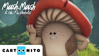 Mush Mush e os Mushimelos | Como acordar um caracol | Cartoonito