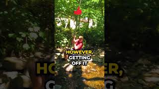 How *NOT* to rope swing (FAIL) #shorts