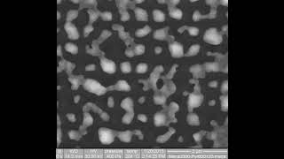 Dewetting of a silver thin layer deposited on a structured substrate - SEM  at high temperature