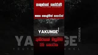 අභිරහස් වලව්ව 06 කොටස | sinhala holman katha #sinhalaholmankatha #horrortok #viral #foryou