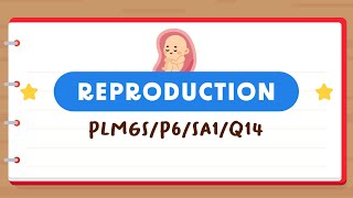 PSLE SCIENCE MADE SIMPLE EP191 | Reproduction | Facts About A Fruit’s Flower 🌸