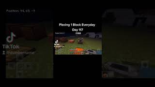 Placing 1 Block Everyday Day 117