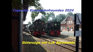 Tage des Eisenbahnfreundes 2024 Güterzüge mit Lok Spreewald