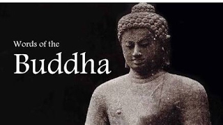 Daily Words of the Buddha