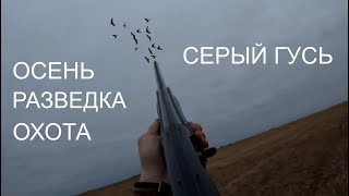 ОХОТА НА СЕРОГО ГУСЯ! НАКОНЕЦ МЫ НАШЛИ ЕГО!