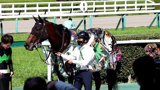 OTAKE RACING STABLE 馬着(馬服)ファッションショー