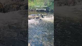 Hanging out in then Clear Creek in Wyoming!!!