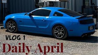 My Mustang attracts a ton of attention | Everyday April