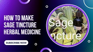 How To Make Sage Tincture Herbal Medicine