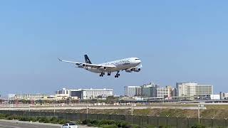 Lufthansa Airbus A340-300 “Star Alliance Livery” landing at Los Angeles International Airport KLAX