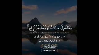 Tilawat e Quran Status | Whatsapp Islamic Status | Daily Whatsapp Status No.169