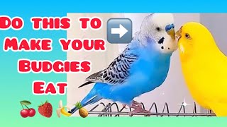 How to Make Your Bird Eat Fruits & Vegetables #birds #parrot #parakeet