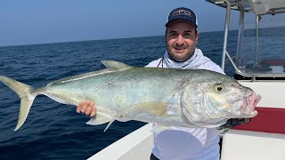 Yellow Spotted Trevally on a light jigging setup