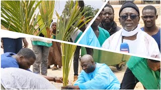 BOOLO NAATAL TUUBA : MET 500 PLANTES  DANS RÉSIDENCE CHEIKHOUL KHADIM DE DAROU MARNÂNE, SERIGNE...