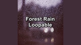 Rain and Nature Sounds Calm Instrumental Sounds