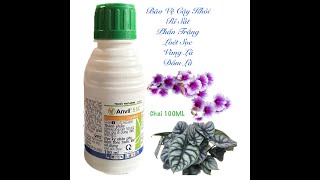 Trừ Bệnh Anvil 5SC, Chống Thán Thư Rỉ Sắt, Nấm Hồng Gây Vàng Lá... Chai 100ml 0967 863 963