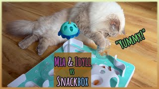 snackboard for cats 😋 - CatMia