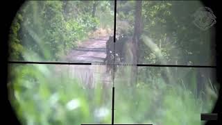 +18 Ukrainan SSO Sniper on Duty #ukraine #sniper #war