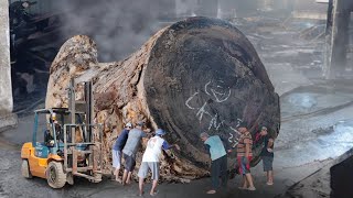 woodworking for beginners kayu trembesi bengkok dari hutan di Pulau Jawa Gunung Kidul di sawmill