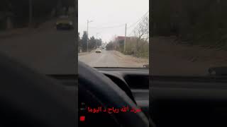 رياح قوية داليوم طيحت شجرة