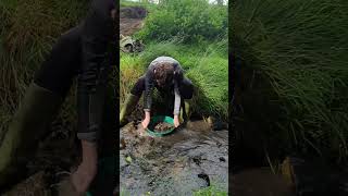 Teaching them young #goldpanning #adventure #gold #fun #familytime #son #fyp #shorts #top #happyday