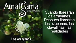 AMALGAMA - LOS ARRAYANES