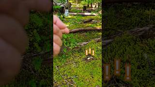 Easy find #pnw #shortvideo #pnwdiscovered #mushroomhunting #nature #food #fyp #reels