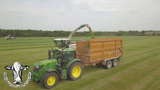 3rd Cut Silage 2018, Mowing, Raking, Chopping All In One field