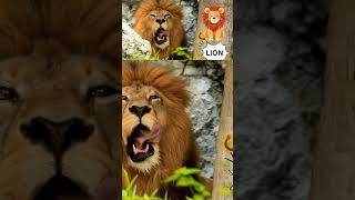 learn animal names# kidslearning#nurseryrhymes #animals #kids #alphabet #kidssong #english