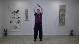 Medical Qigong:  Qigong for the Spine