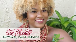 Got Plants?| I Just Want My Plants to SURVIVE