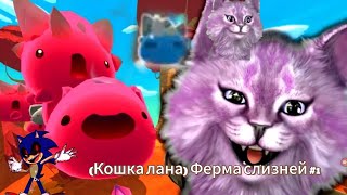 (КОШКА_ЛАНА) Ферма слизней #1