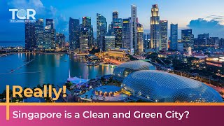 Do you Think Singapore is a CLEAN & GREEN Country? | Report