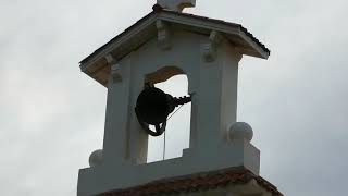 Cloche de la Chapelle 6 juin 2019