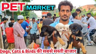 यहॉ मिलेंगे सबसे सस्ता Pets & Birds |Pet Market in Lucknow |Nakhas Pet Market Lucknow