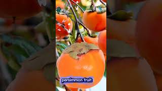 fruit split #persimmon #persimmonfruit #fruit #funplay #split #shorts #youtubeshorts