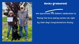 Rocky Good Dog™ Board & Train | Boise Poodle Training