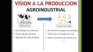 VISION A LA PRODUCCION AGROINDUSTRIAL