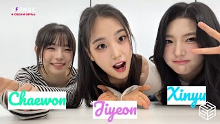 [ENG SUB] tripleS Weibo SIGNAL LIVE 240710 (Xinyu, Chaewon, Jiyeon) 트리플에스 Choosing Chinese Names Pt2