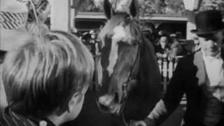 My Brother Talks to Horses (1947)  - Original theatrical trailer