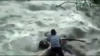 people saving donkey