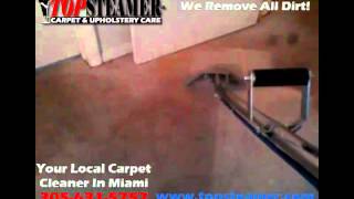 Top Steamer Your Local Carpet Cleaner In Miami