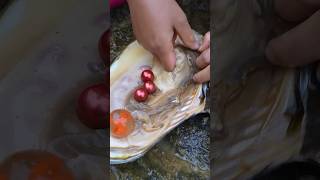 Pearls in Oyster || #s#shortvideo #gemstone #quartz #shorts #stone